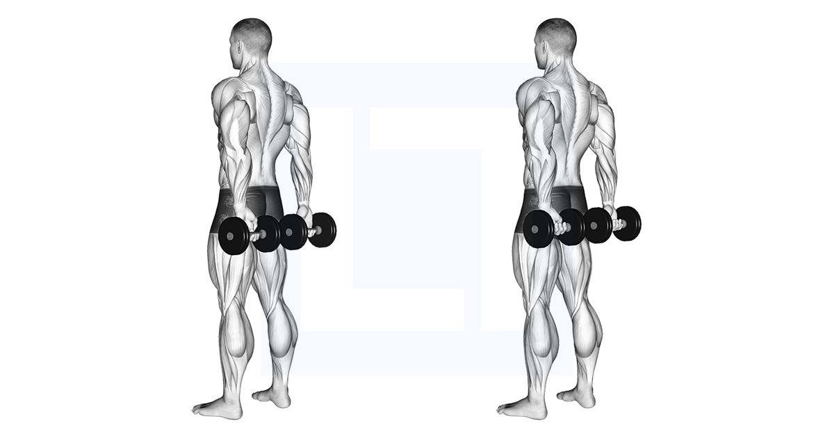 Dumbbell Behind Back Finger Curl