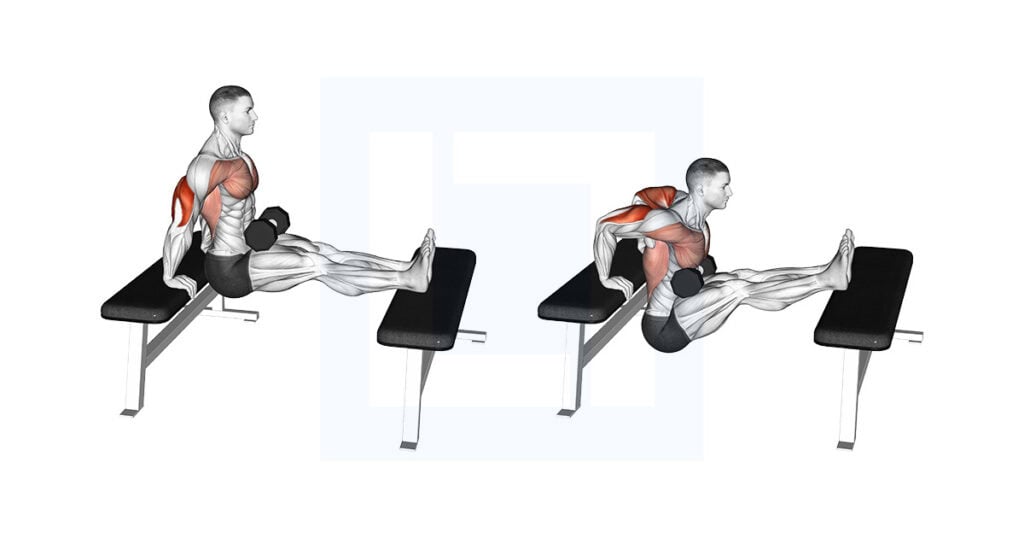 Dumbbell Bench Dip With Legs Elevated