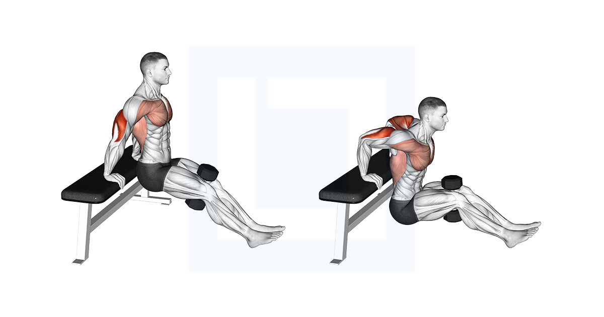 Dumbbell Bench Dip