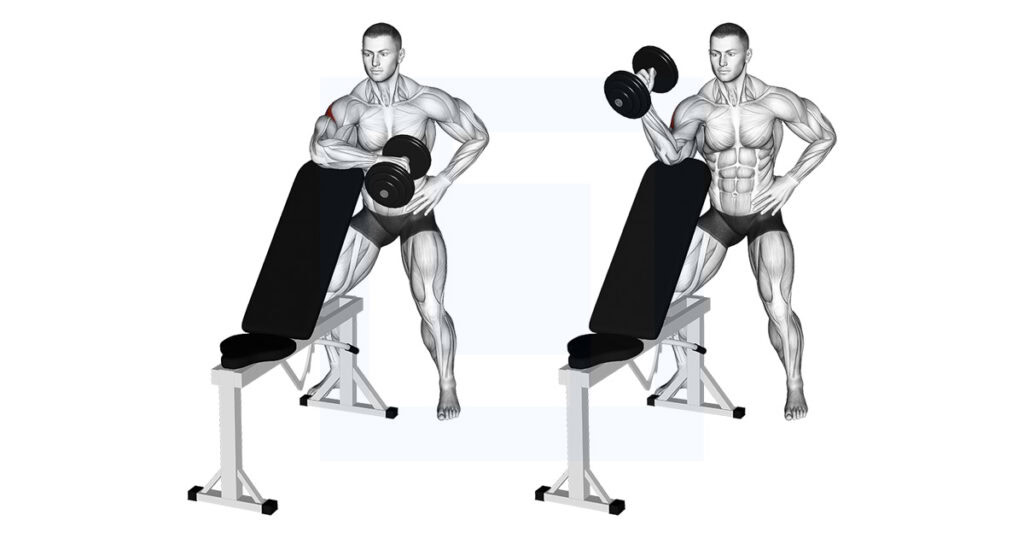 DB Bench Supported External Rotation: Cuff Builder