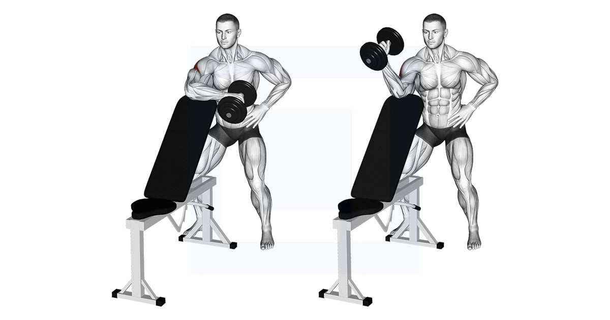 Dumbbell Bench Supported External Rotation