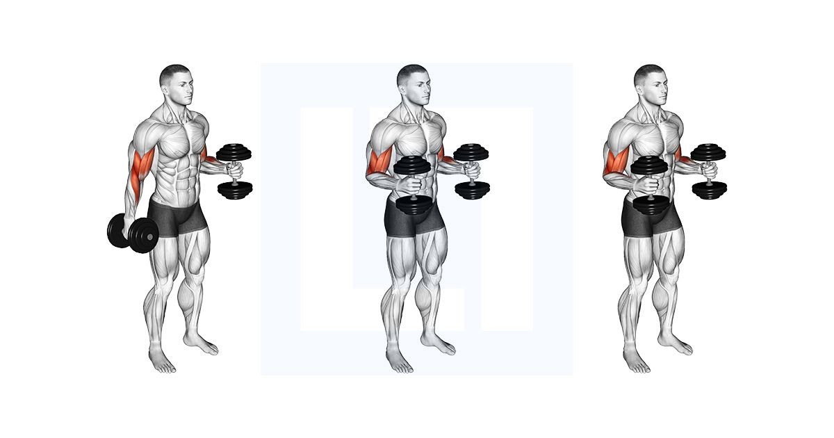 Dumbbell Bent Arm Iso Hold