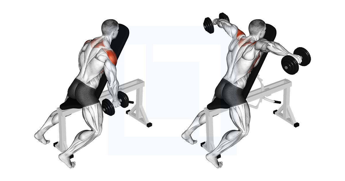 Dumbbell Chest Supported Lateral Raises