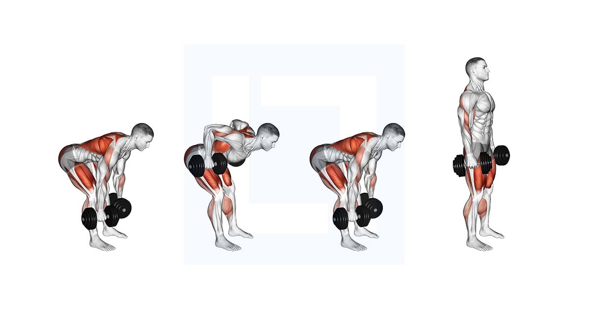 Dumbbell Deadlift Bent Over Row
