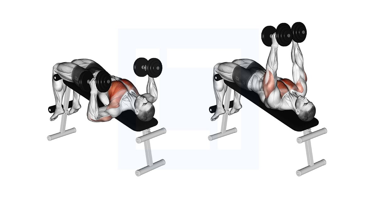 Dumbbell Decline Hammer Press