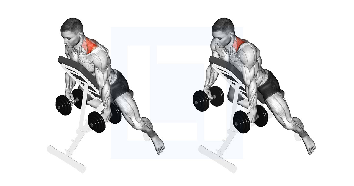 Dumbbell Decline Shrug