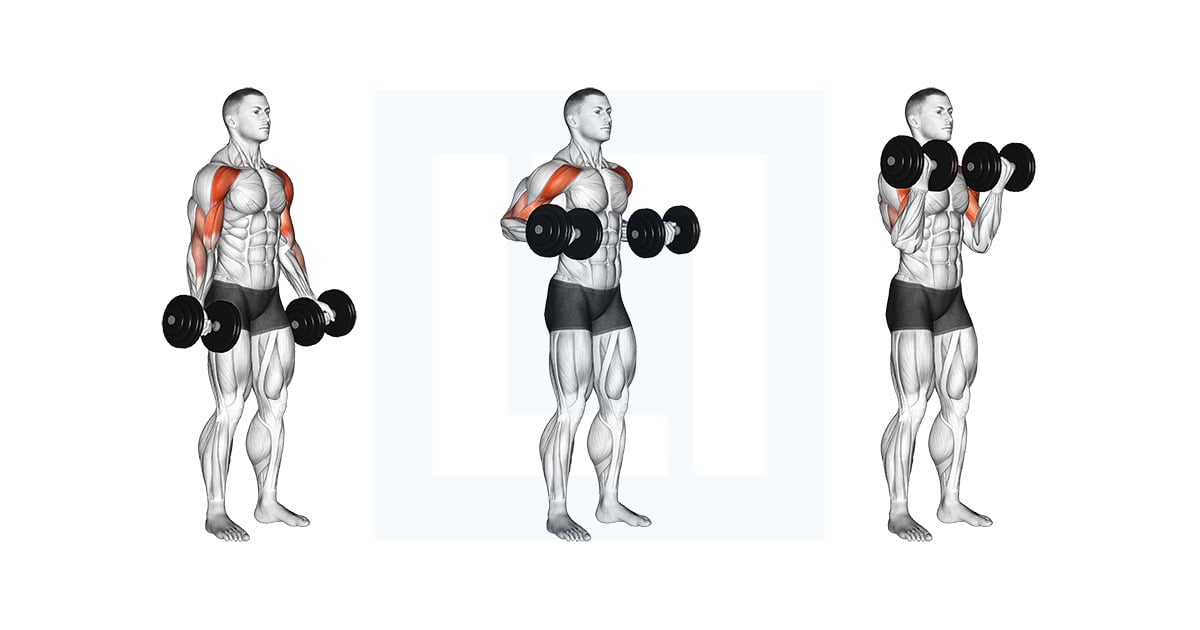 Dumbbell Drag Bicep Curl