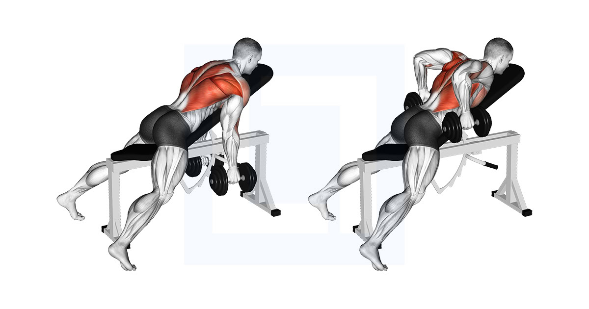 Dumbbell Hammer Grip Incline Bench Two Arm Row