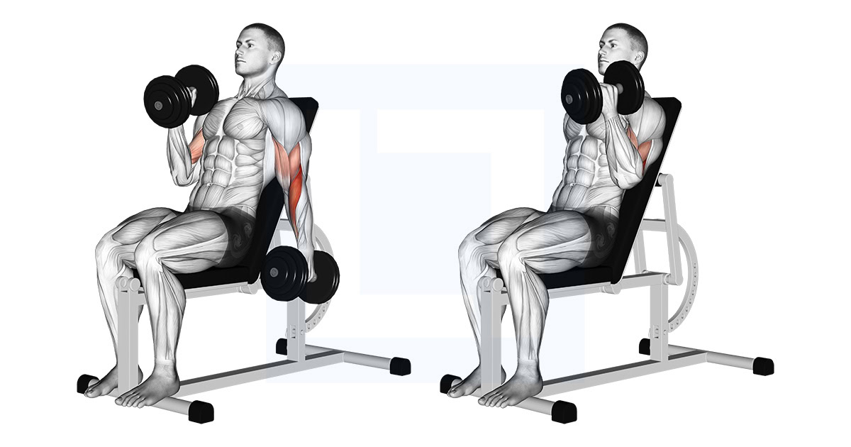 Dumbbell Incline Alternate Hammer Curl