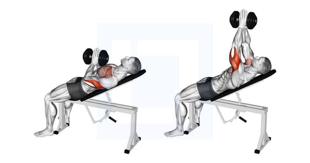 DB Incline Close Grip Press Variation: Inner Upper Pec