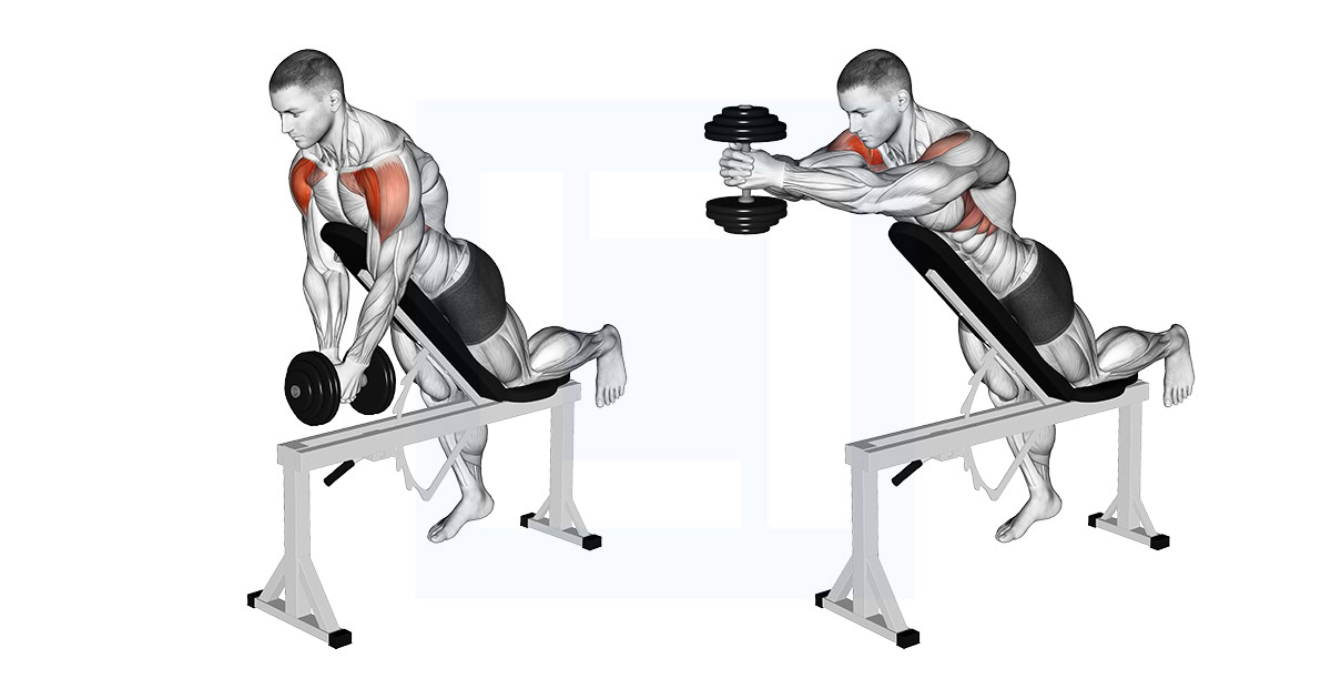 Dumbbell Incline Front Raise with Chest Support