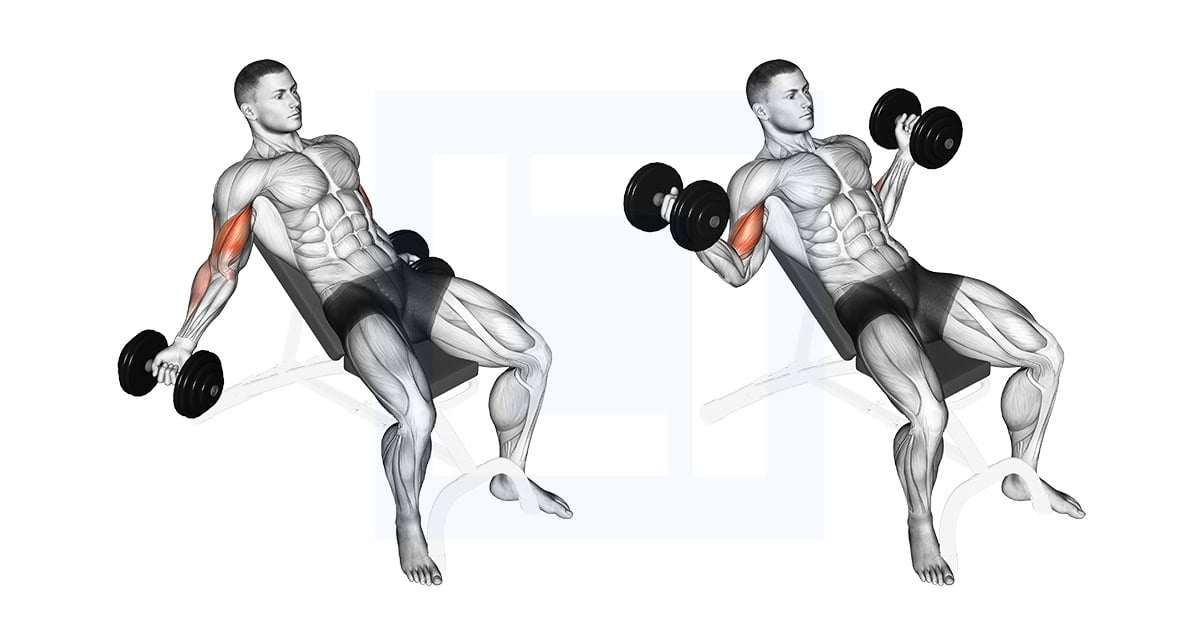 Dumbbell Incline Inner Biceps Curl