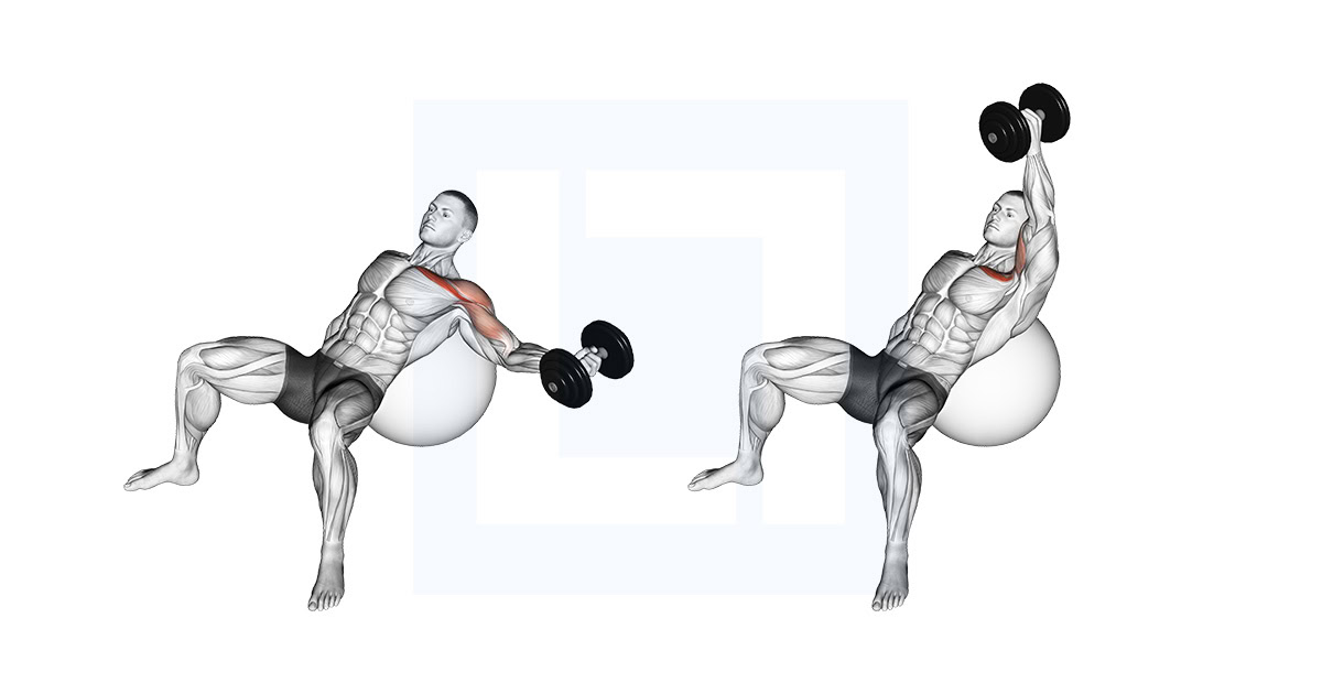 Dumbbell Incline One Arm Fly on Exercise Ball