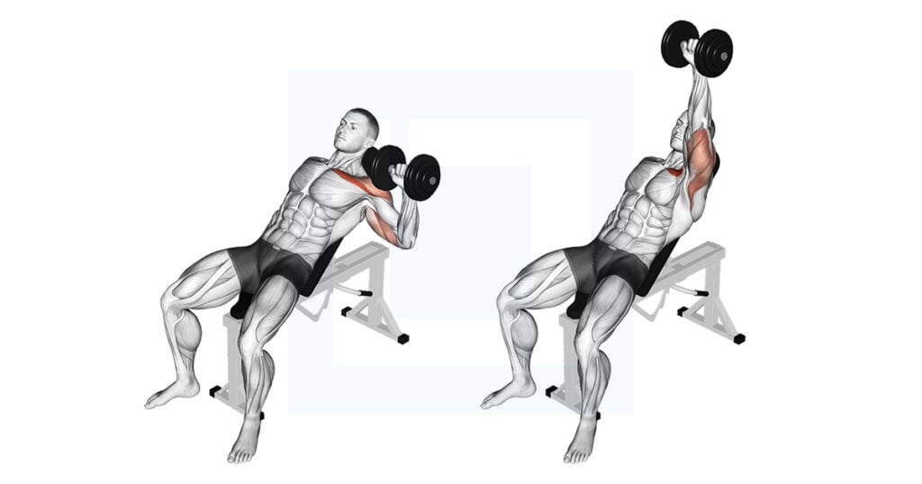 Dumbbell Incline One Arm Press