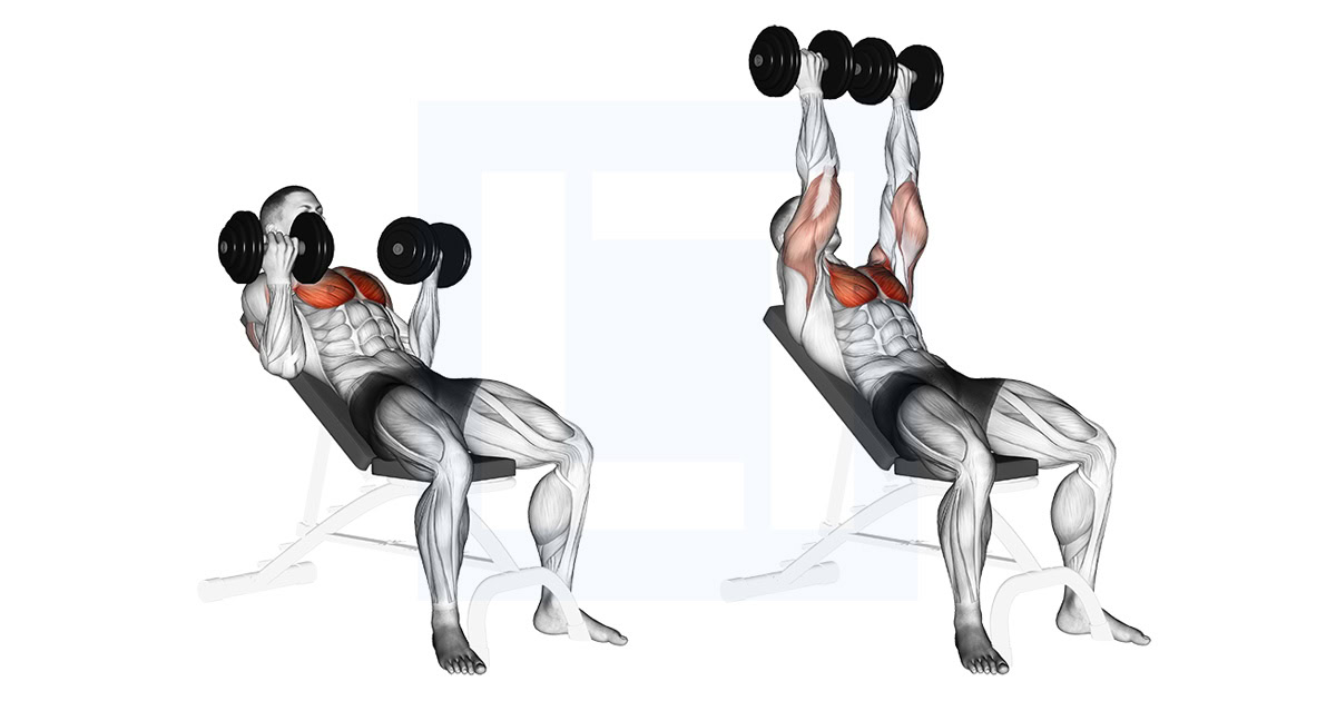 Dumbbell Incline Palm In Press