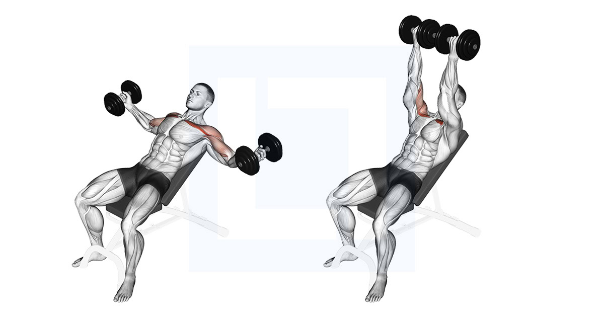 Dumbbell Incline Twisted Flyes