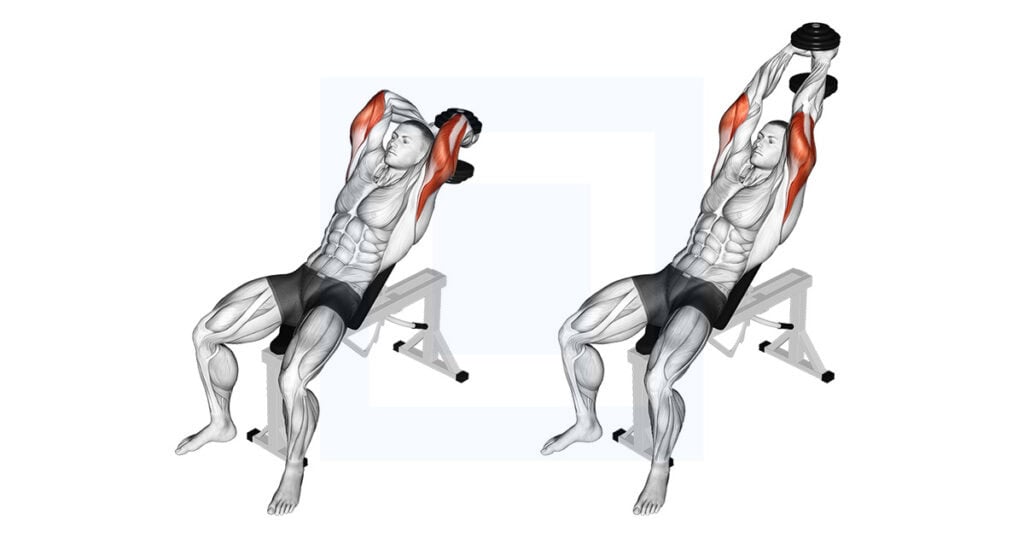 Dumbbell Incline Two Arm Extension