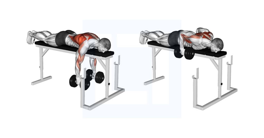 Dumbbell Lying Close Grip Parallel Row On Rack