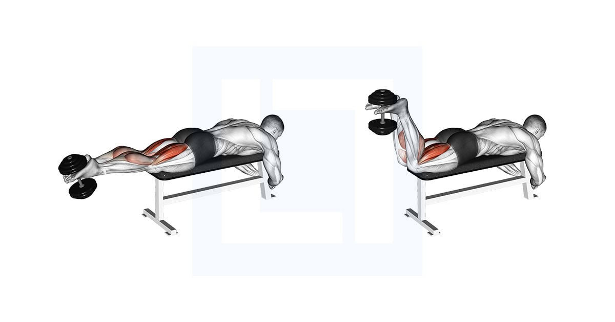 Dumbbell Lying Femoral