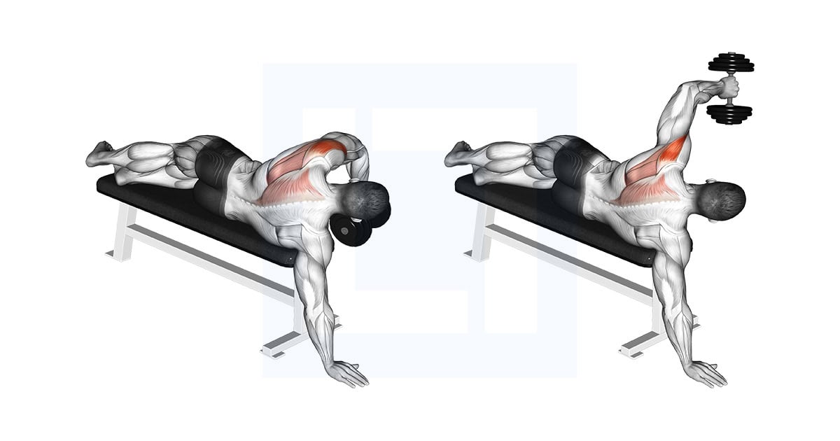 Dumbbell Lying One Arm Deltoid Rear