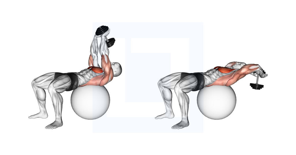 DB Pullover on Stability Ball