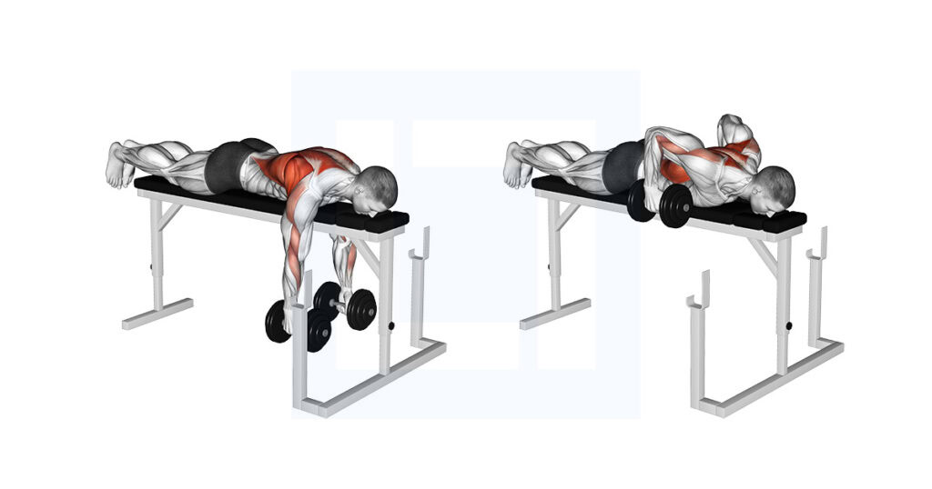 Dumbbell Rack Row DB Lying Row On Rack: Inverted Dumbbell Row