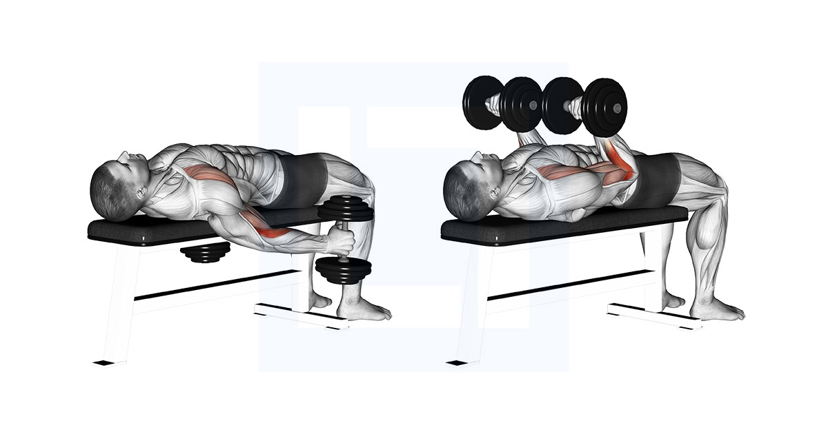 Dumbbell Lying Supine Curl
