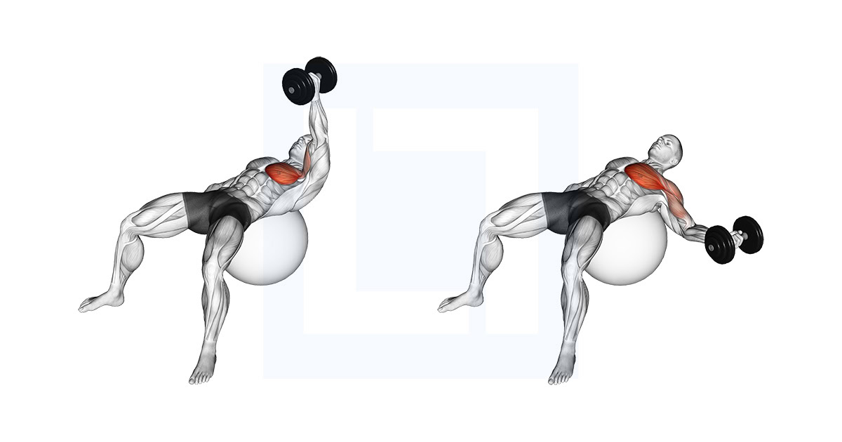 Dumbbell One Arm Fly on Exercise Ball