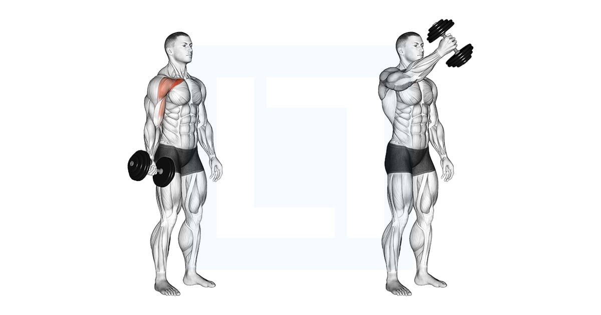Dumbbell One Arm Low Fly