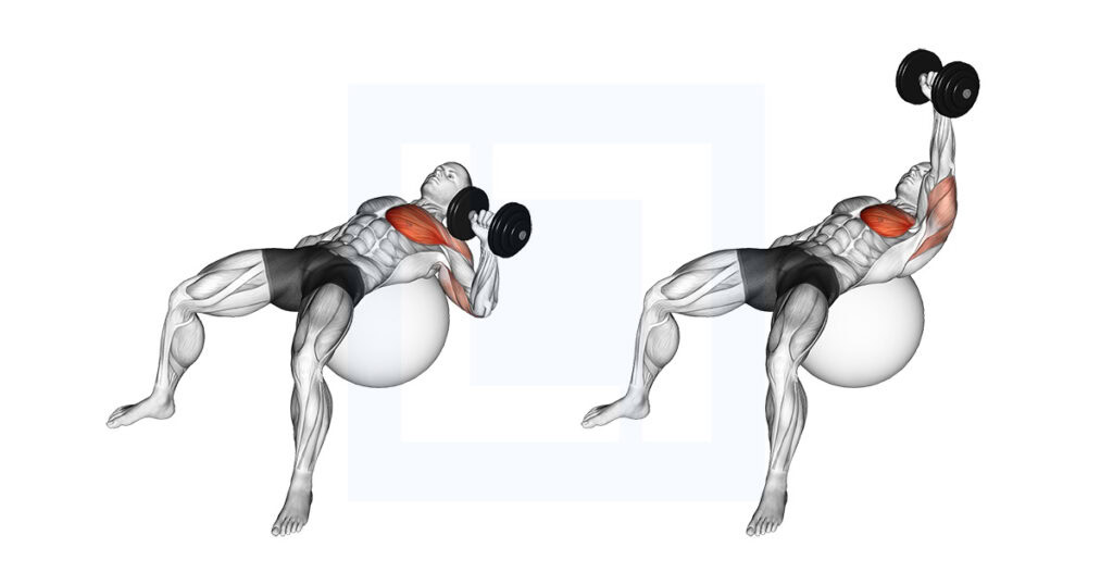 Ball Core Rotation Exercise Seated Ballerina: Stability Ball Core Rotation
