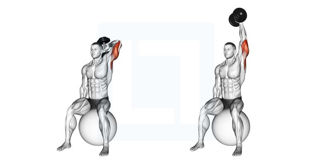Dumbbell One Arm Triceps Extension On Stability Ball