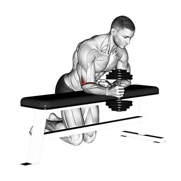 Dumbbell Over Bench One Arm Neutral Wrist Curl