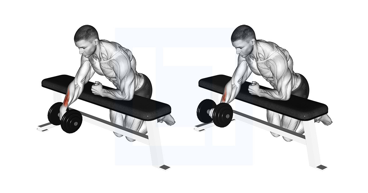Dumbbell Over Bench One Arm Wrist Curl