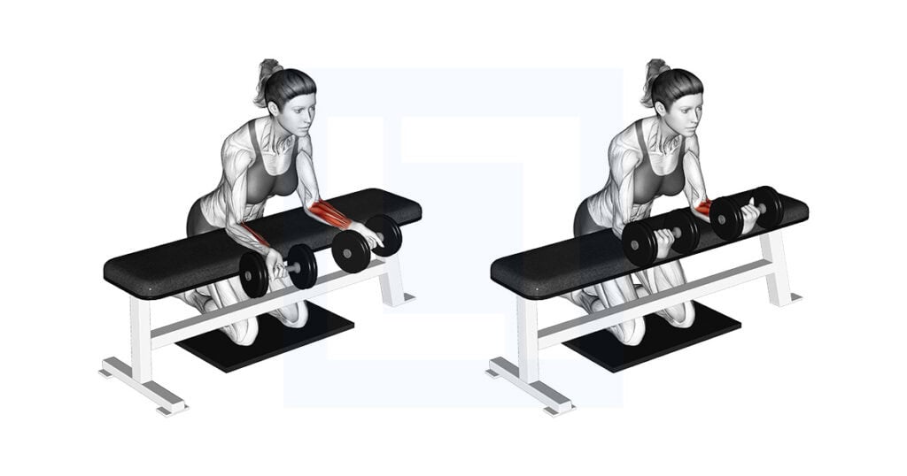 Dumbbell Over Bench Reverse Wrist Curl with Mat