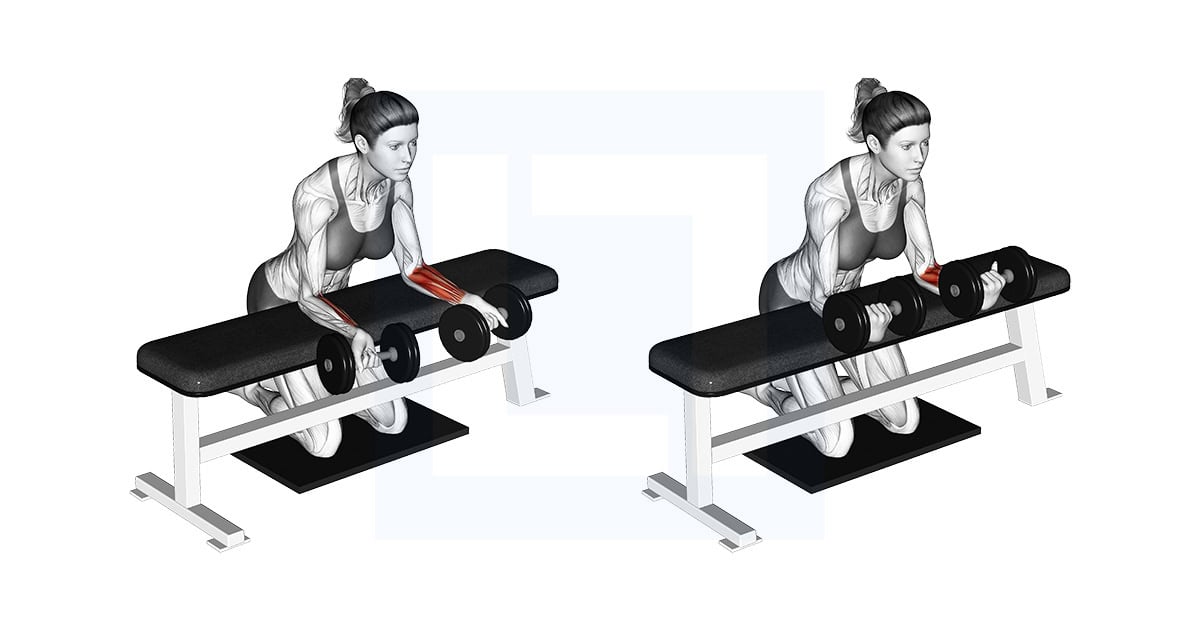 Dumbbell Over Bench Reverse Wrist Curl with Mat