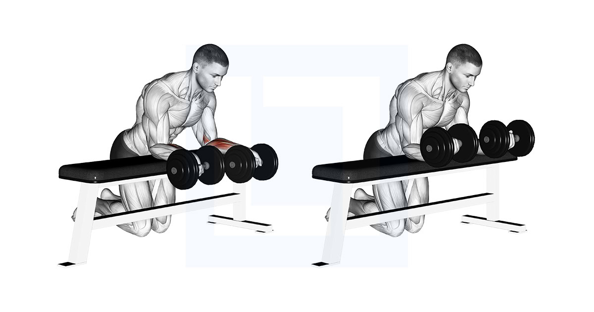 Dumbbell Over Bench Reverse Wrist Curl