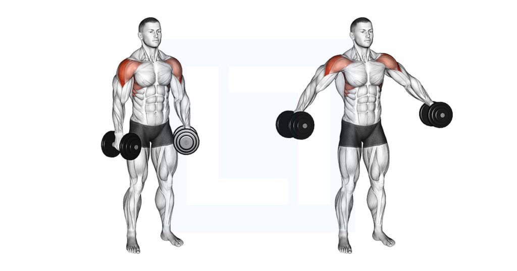 Hyper Partials Exercise Dumbbell Partials Lateral Raise: Burnout Set