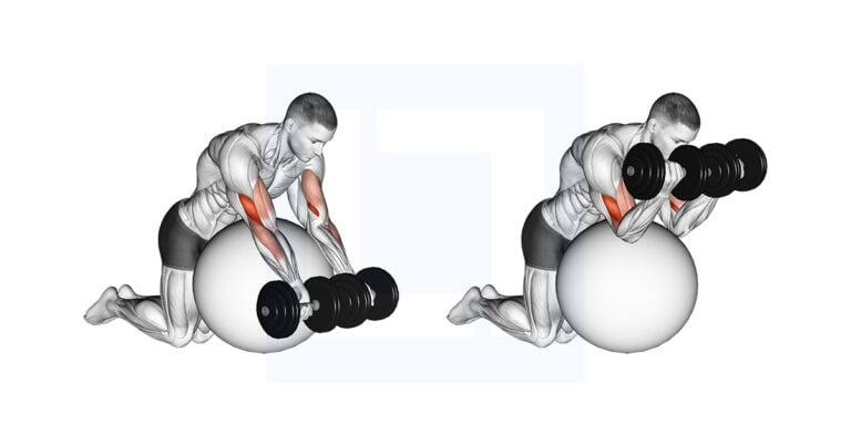 DB Preacher Curl Over Exercise Ball: DIY Preacher