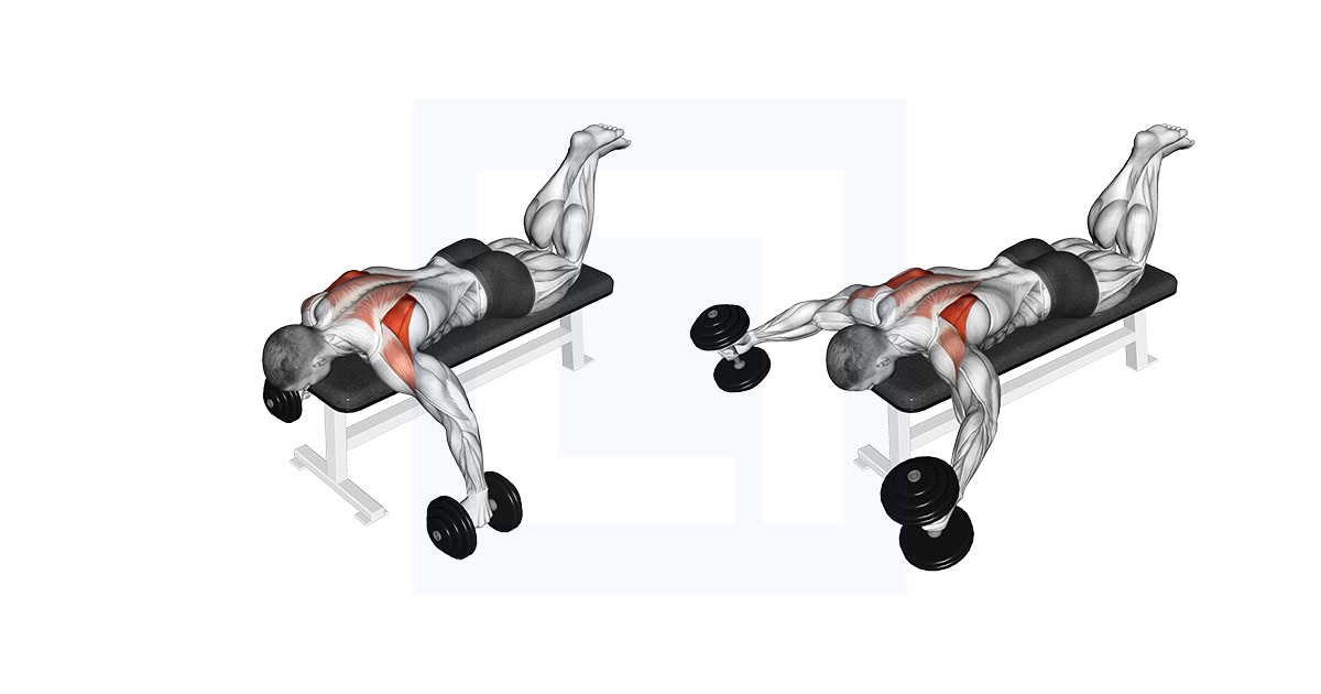 Dumbbell Prone Full Can Exercise