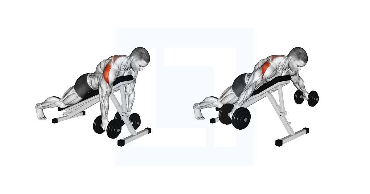 Dumbbell Prone Rear Delt Swing