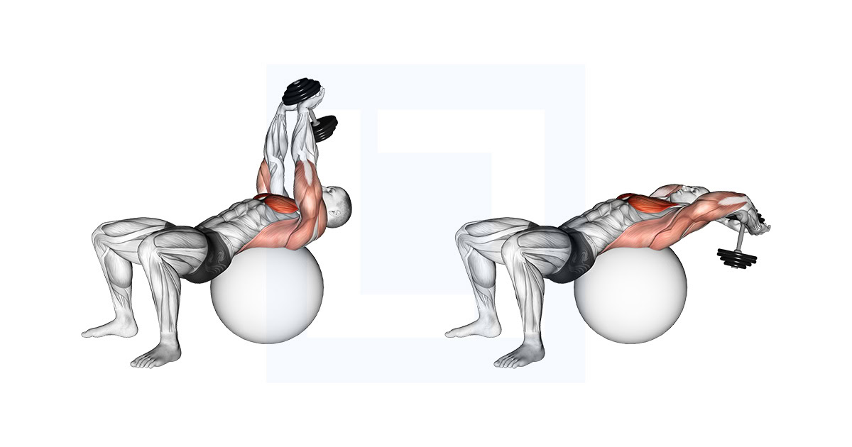 Dumbbell Pullover on Exercise Ball
