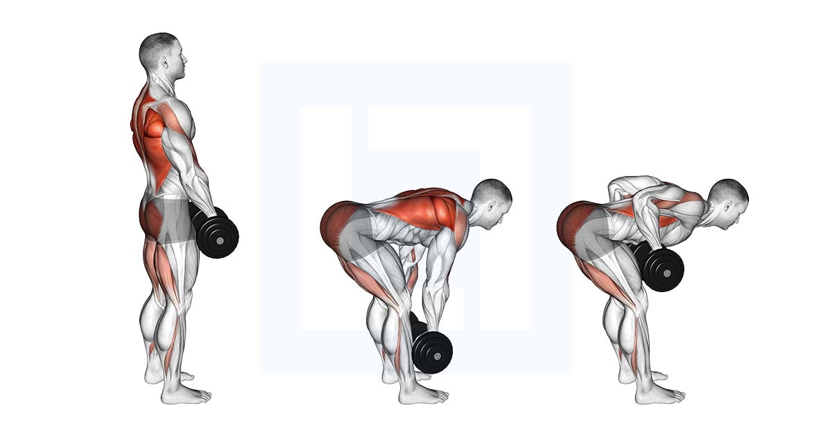Dumbbell RDL and Bent Over Row