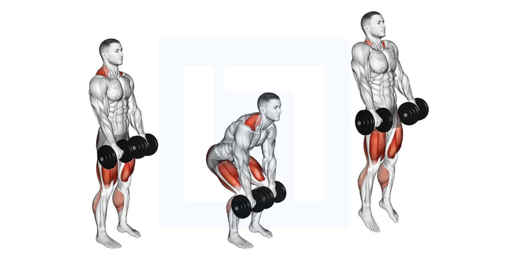 Hfgd Rdl Dumbbell RDL to Jump Shrug: Power Combo
