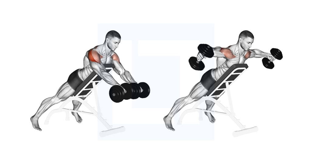 Dumbbell Rotation Reverse Fly