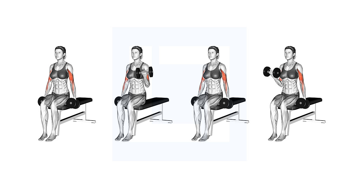 Dumbbell Seated Alternate Biceps Curl