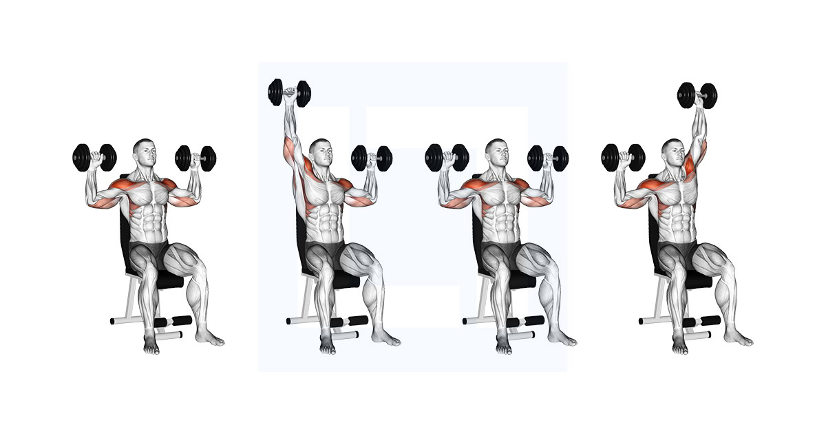 Dumbbell Seated Alternate Shoulder Press