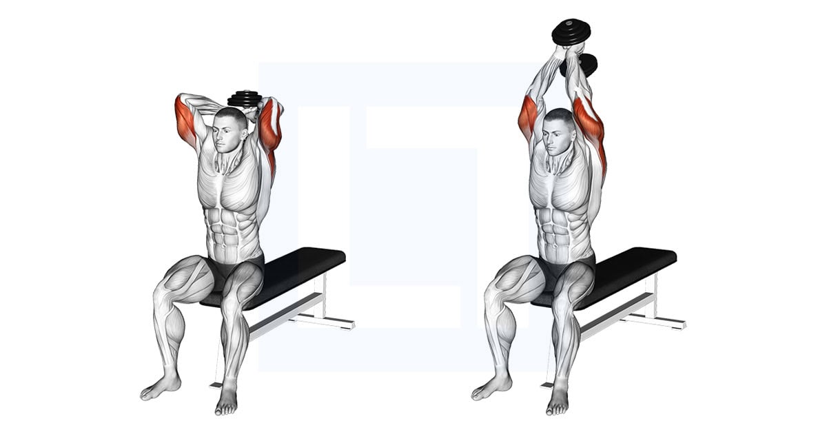 Dumbbell Seated Bench Extension