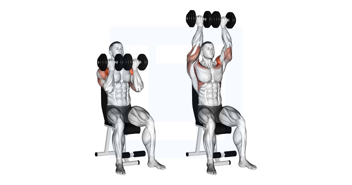 Dumbbell Seated Close Grip Press