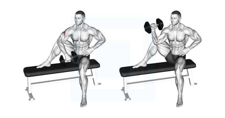 Db Wrist Rotation DB Seated External Shoulder Rotation