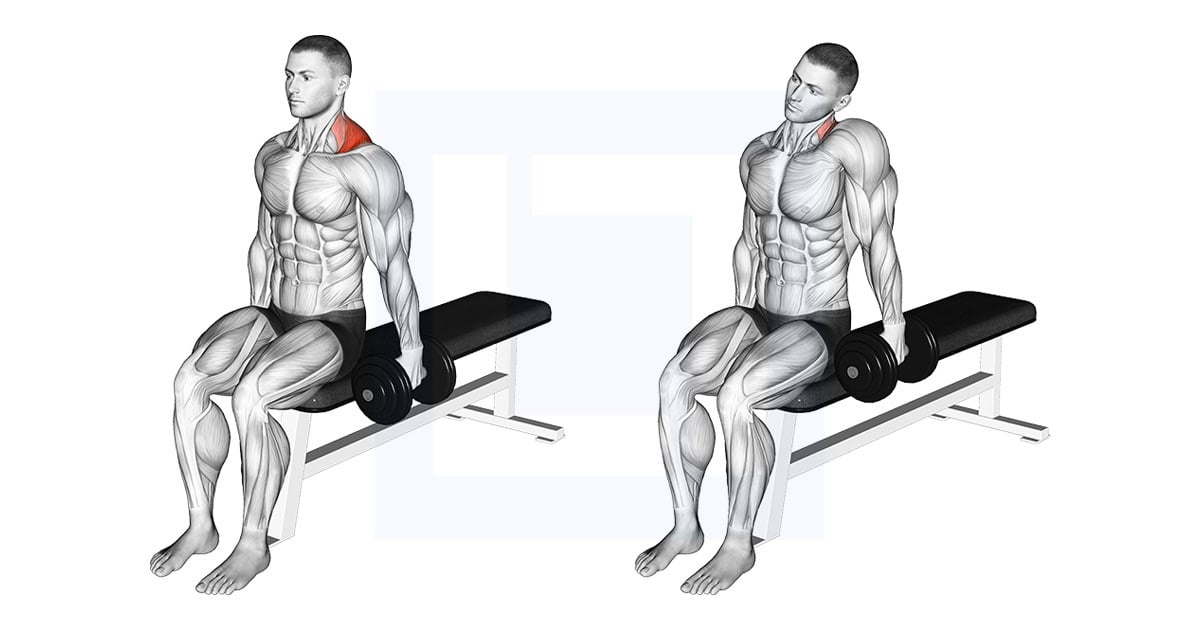 Dumbbell Seated Gittleson Shrug
